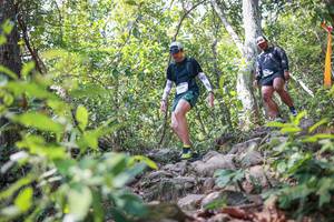 BIB: 
                            <button type="button" onclick="openModal(27703198)" class="btn btn-primary btn-sm float-right btn-popup" data-toggle="modal" data-target=".modal-high-quality">
                        <i class="fas fa-shopping-cart"></i> Add to Cart
                    </button>
                                            <button type="button" onclick="isThisMe(27703198, true)" class="btn btn-success btn-sm float-right btn-popup btn-isme hidden" data-toggle="tooltip" data-placement="bottom" title="นี่คือรูปของคุณใช่ไหม คลิกที่นี่เพื่อเอาเข้าอัลบั้ม">
                        <i class="fas fa-plus"></i> Add to album
                    </button>
                    <button type="button" onclick="isThisMe(27703198, false)" class="btn btn-warning btn-sm float-right btn-popup btn-isnotme hidden">
                        <i class="fas fa-ban"></i> Remove from album
                    </button>